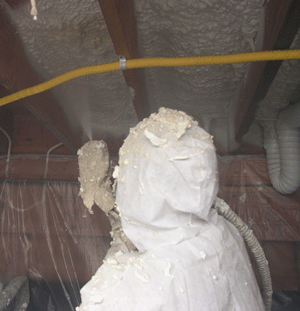 St Paul MN crawl space insulation